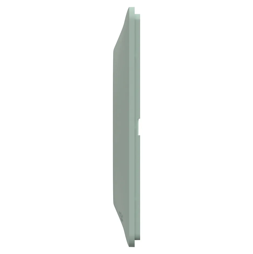 Plaque de finition 1 poste Schneider Electric Ovalis S320702A coloris sauge l.87 x P.10 x H.87 mm