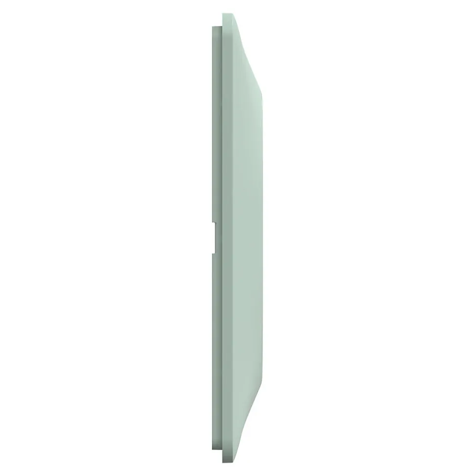 Plaque de finition 1 poste Schneider Electric Ovalis S320702A coloris sauge l.87 x P.10 x H.87 mm