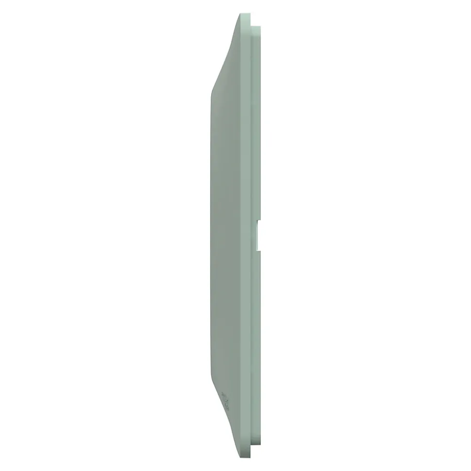 Plaque de finition 2 postes Schneider Electric Ovalis S320704A coloris sauge l.158 x P.10 x H.87 mm