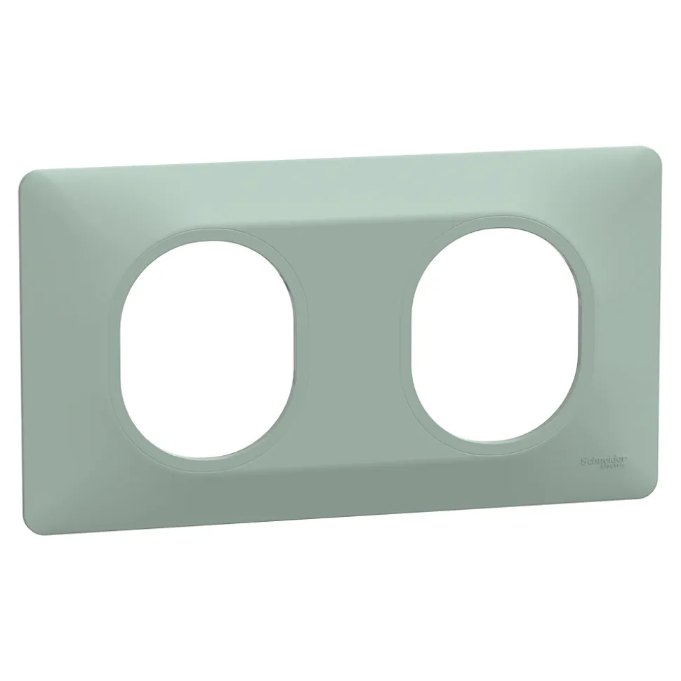 Plaque de finition 2 postes Schneider Electric Ovalis S320704A coloris sauge l.158 x P.10 x H.87 mm