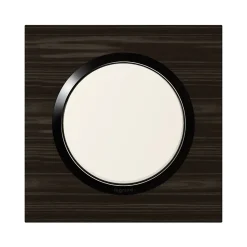 Plaque de finition 1 poste Legrand Dooxie 6 008 81 coloris bois ébène avec bague noire brillante l.87 x P.10 x H.87 mm