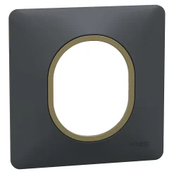 Plaque de finition 1 poste Schneider Electric Ovalis S340702E coloris anthracite avec liseré laiton l.87 x P.10 x H.87 mm