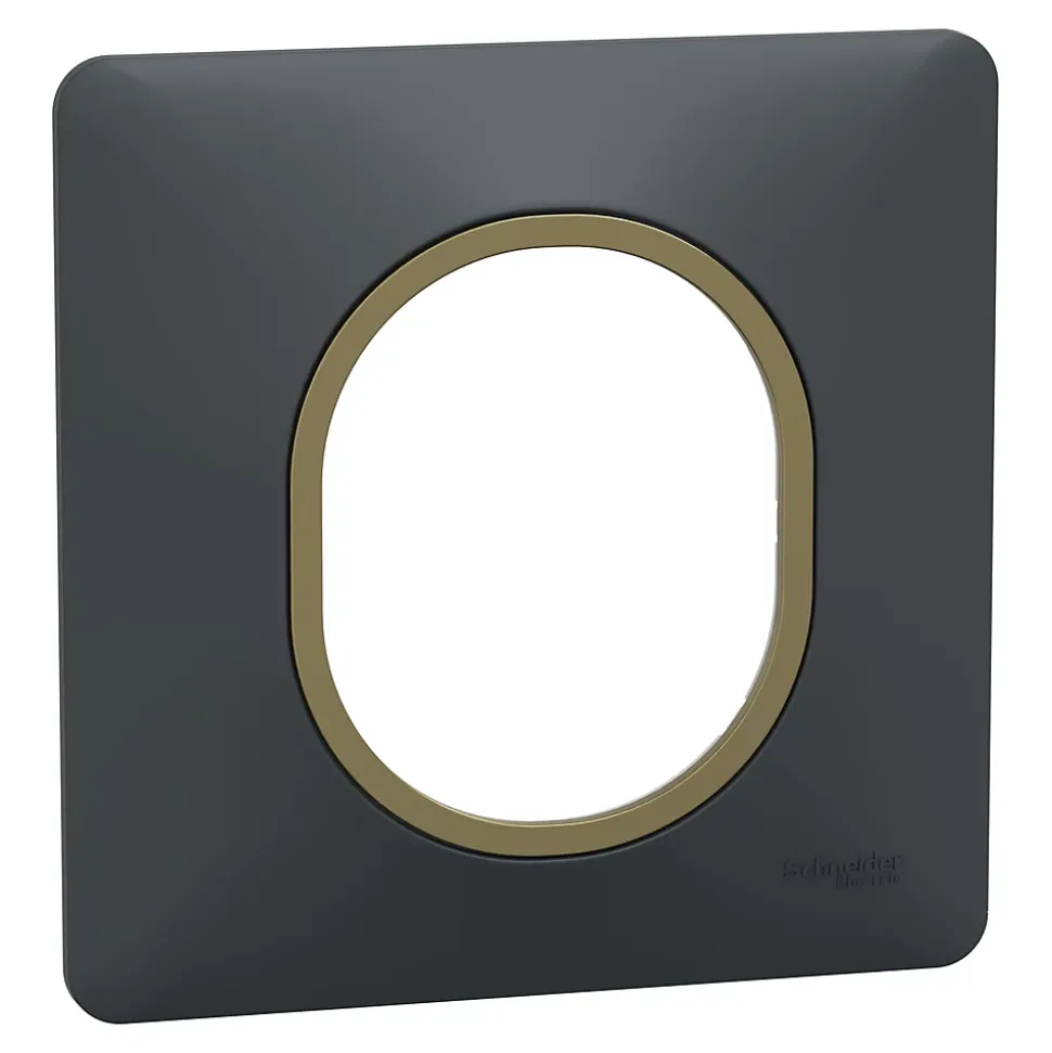 Plaque de finition 1 poste Schneider Electric Ovalis S340702E coloris anthracite avec liseré laiton l.87 x P.10 x H.87 mm