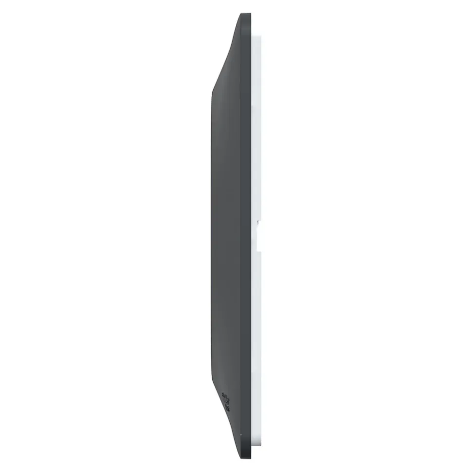 Plaque de finition 1 poste Schneider Electric Ovalis S340702E coloris anthracite avec liseré laiton l.87 x P.10 x H.87 mm
