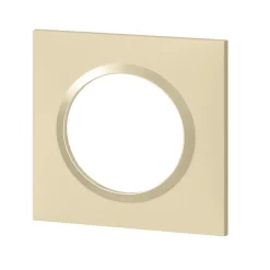 Plaque de finition 1 poste Legrand Dooxie 6 008 11 coloris dune mat avec bague dune brillante l.87 x P.10 x H.87 mm
