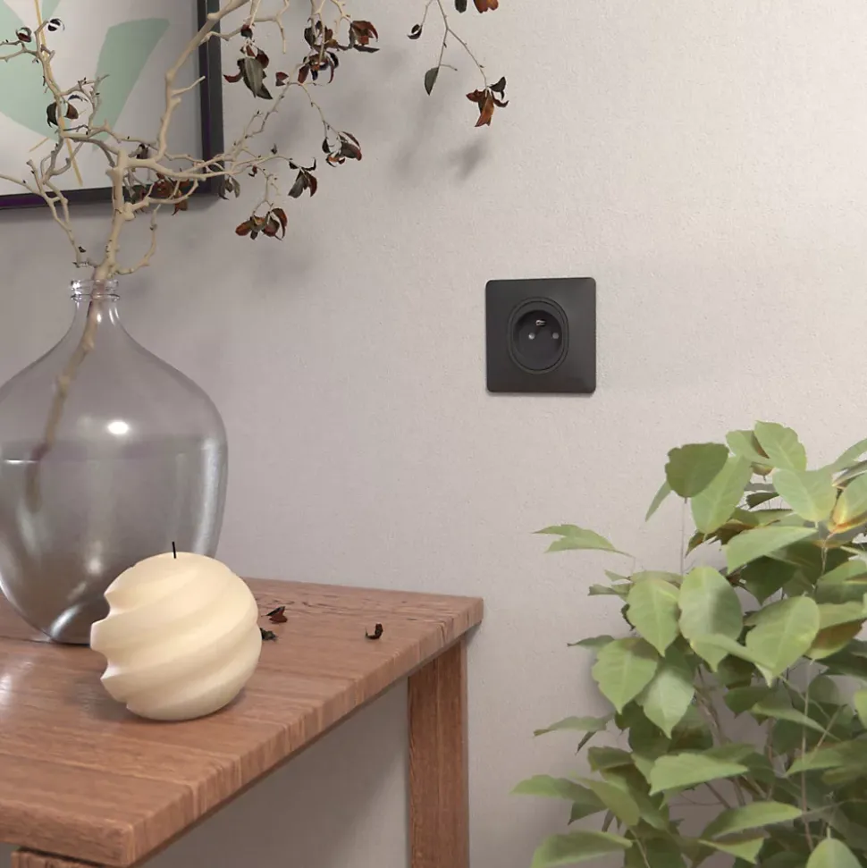 Plaque de finition 1 poste Schneider Electric Ovalis S340702 coloris anthracite l.87 x P.10 x H.87 mm