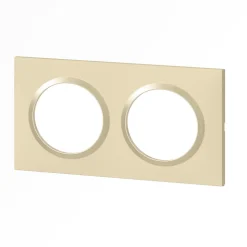 Plaque de finition 2 postes Legrand Dooxie 6 008 12 coloris dune mat avec bague dune brillante l.158 x P.10 x H.87 mm