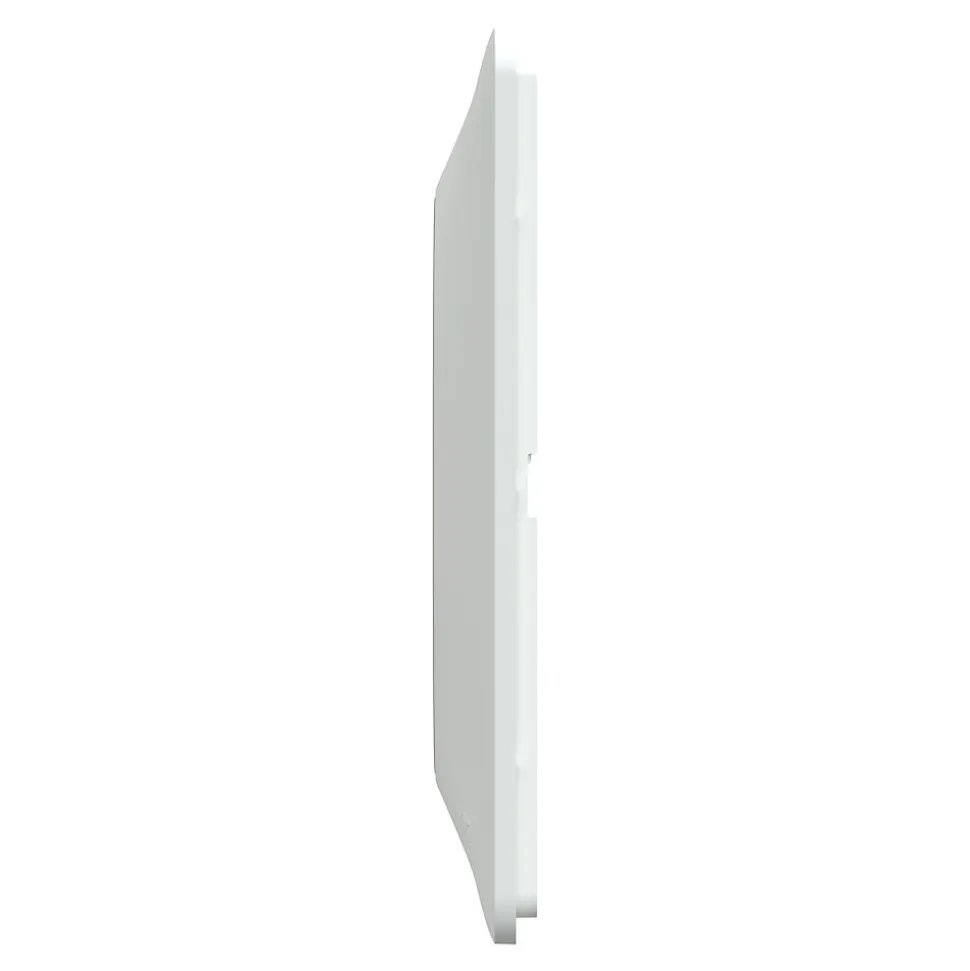 Plaque de finition 1 poste Schneider Electric Ovalis S320702D coloris blanc avec liseré laiton l.87 x P.10 x H.87 mm