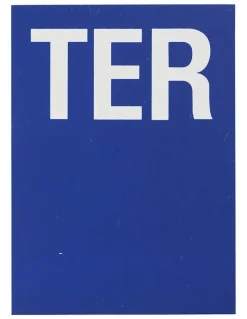 Plaque de signalisation TER, marquage blanc sur fond bleu, panneau PVC adhésif, 65x90mm - THIRARD