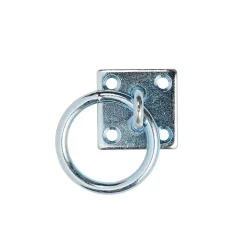 Platine de fixation avec anneau Diall