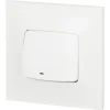 Poussoir lumineux Legrand Neptune plastique blanc