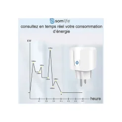 Prise connectée SomLife application tuya smart life contrôle de consommation Compatible avec Alexa/Google Home
