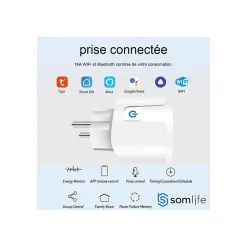 Prise connectée SomLife application tuya smart life contrôle de consommation Compatible avec Alexa/Google Home