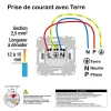 Prise de courant 2 pôles + terre affleurante 16A Schneider Electric Ovalis anthracite