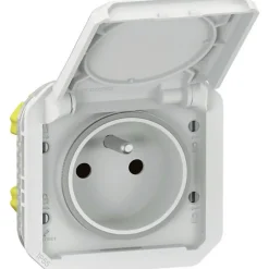 Prise de courant étanche - Plexo - Composable - Legrand - 2P+T - 16 A - Blanc - IP55