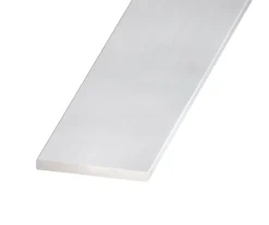 Profilé plat aluminium anodisé 60 x 3 mm, L. 2 m CQFD