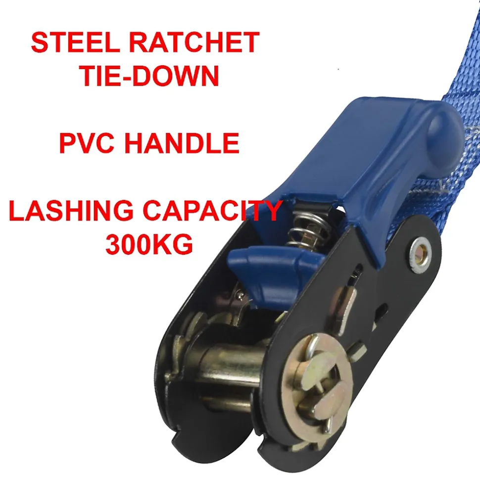 Sangle d'arrimage avec tendeur à cliquet 5m 25mm FPR6 Master Lock