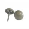 SELECT - Clous Tapissier Pailletés et Laitonnés diamètre 11 mm
