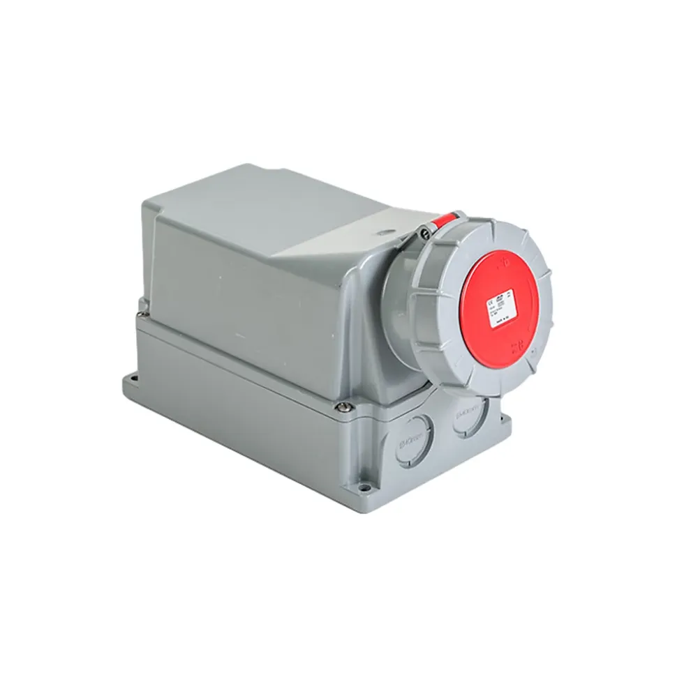 Socle De Prise Tétrapolaire 125a 3p+n+t - étanche Ip67 - Ide