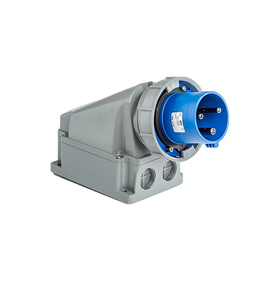 Socle Male 63a Monophasé 220v - 2p+t - étanche Ip67 - Ide
