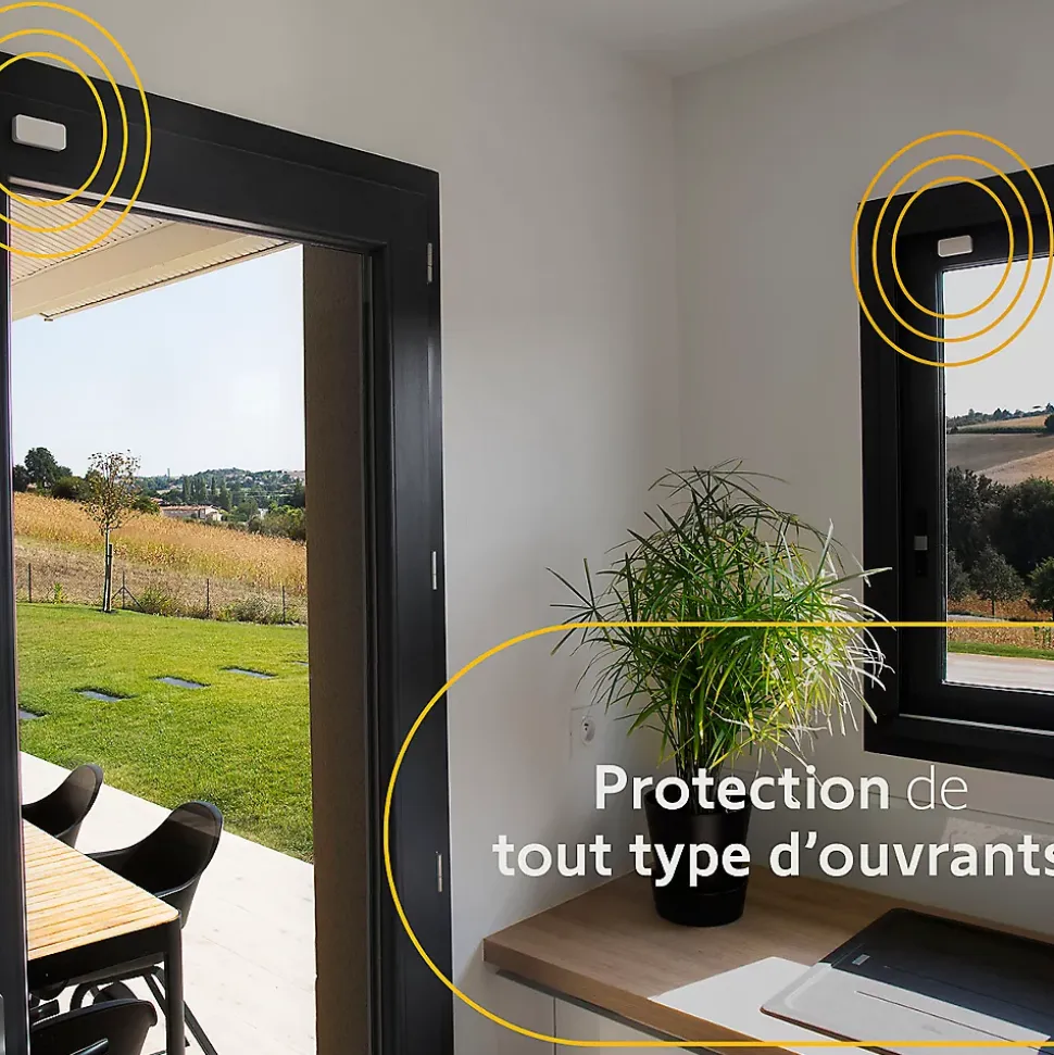 Somfy 1875278 - Home Alarm Essential Max, Alarme maison complète avec sirène & IntelliTAG® compatible Amazon Alexa, Assistant Google & TaHoma® switch
