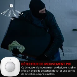 Système d'alarme 868Mhz Wifi, sirène extérieure solaire ,caméra IP
