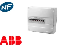 Tableau électrique pré équipé saillie 1 rangée à vis ABB