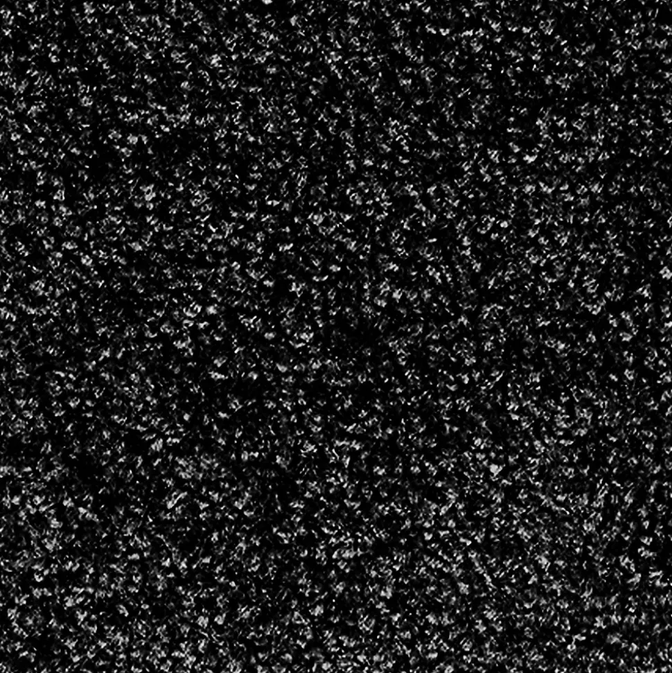 Tapis de Porte Paillasson d'entrée Monochrom Noir 200 x 200 cm