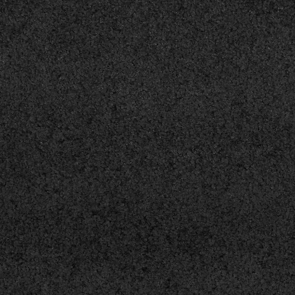 Tapis d'entrée Autre Noir 120 x 400 cm Polyamide et PVC vidaXL