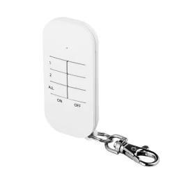 Télécommande 2 canaux Smartwares blanc