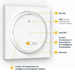 Télécommande Amy Somfy blanc sun protect IO