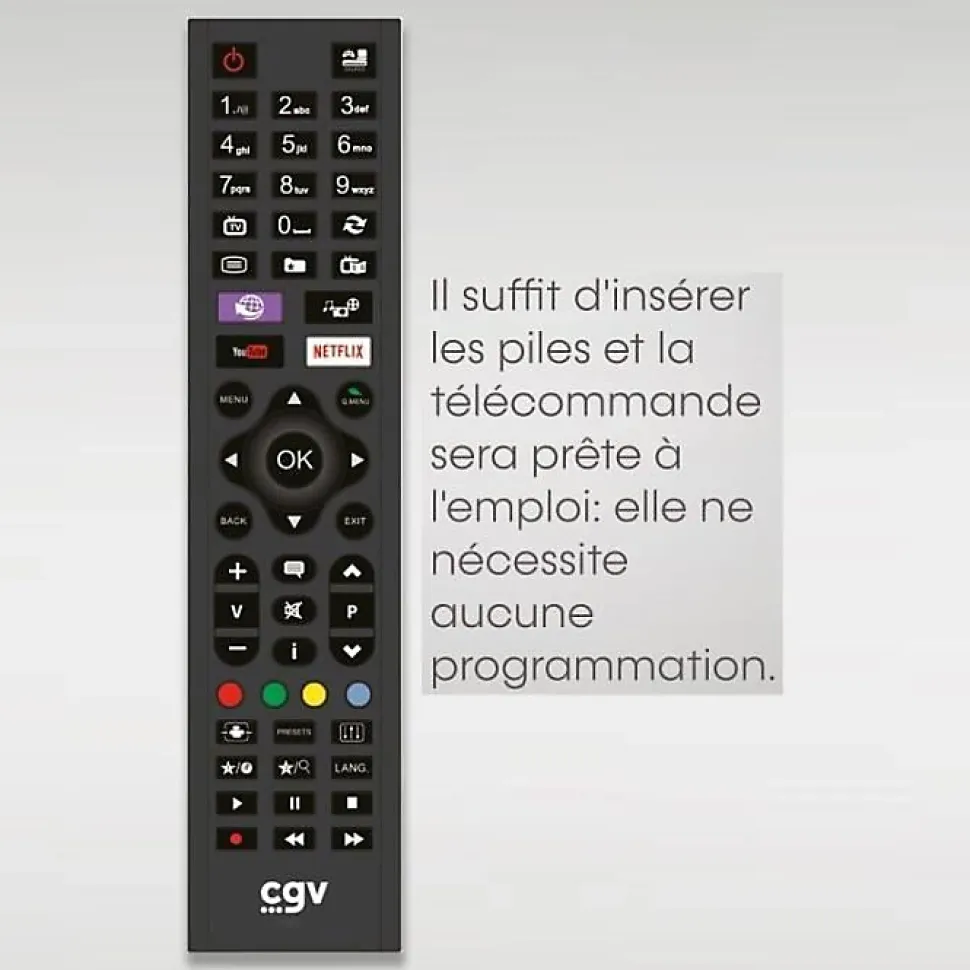 Télécommande CGV Fidelio Hisense 55 boutons Noire infrarouge prête à l'emploi