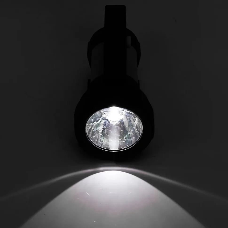 Torche rechargeable Diall 300 lumens
