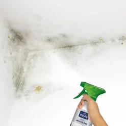 Traitement anti-moisissures intérieur extérieur Ripolin 0,5L
