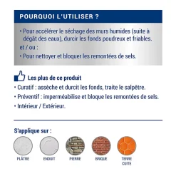 Traitement murs humides et salpêtre intérieur extérieur incolore Ripolin 0,75L