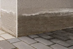 Traitement murs humides et salpêtre intérieur extérieur incolore Ripolin 2,5L