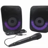 Une paire d'Enceintes Stereo Puissantes Bluetooth iParty