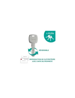 Verrou à bouton Transit 2 pour porte d'entrée, cylindre 40mm, 4 clés, époxy anthracite - THIRARD