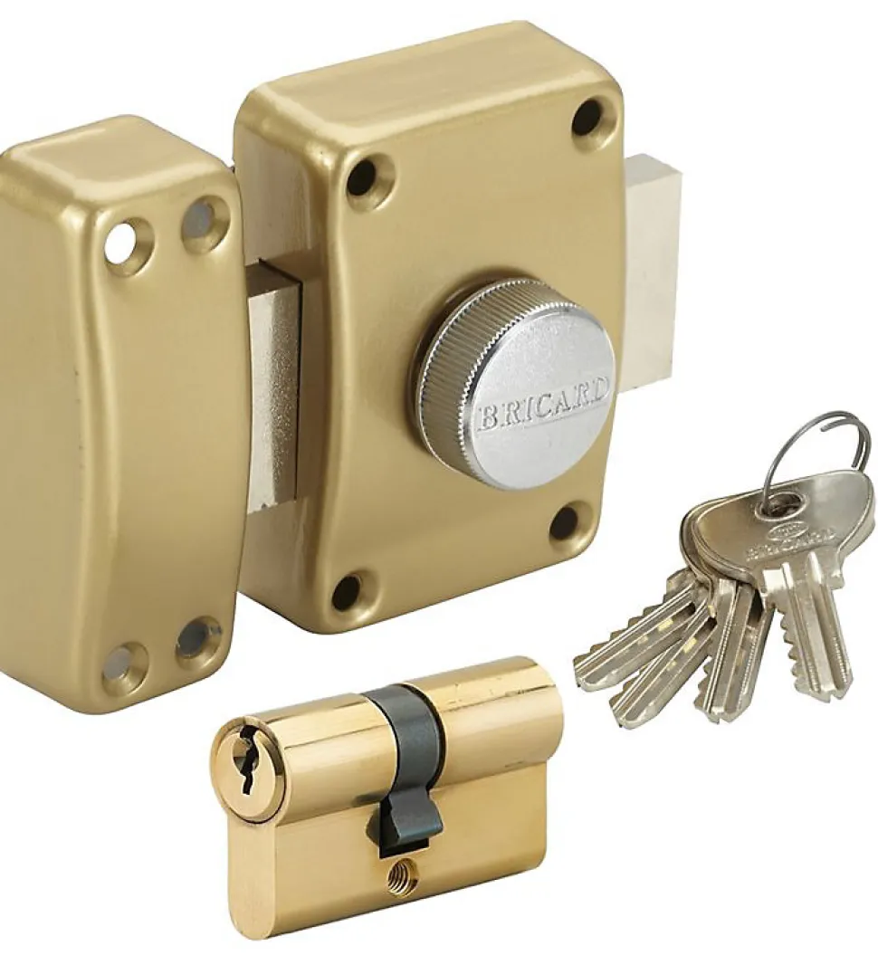 Verrou de porte à bouton 45 mm avec Cylindre supplémentaire 30x30 mm 4 clés uniques