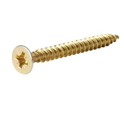 Vis à bois pozidriv tête fraisée 5x60 mm - 500 pièces