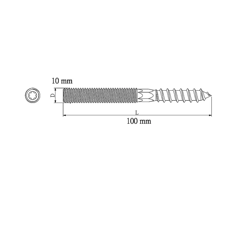 Vis à double filetage (métal/bois) 10x100 zingués mm - 5 pièces