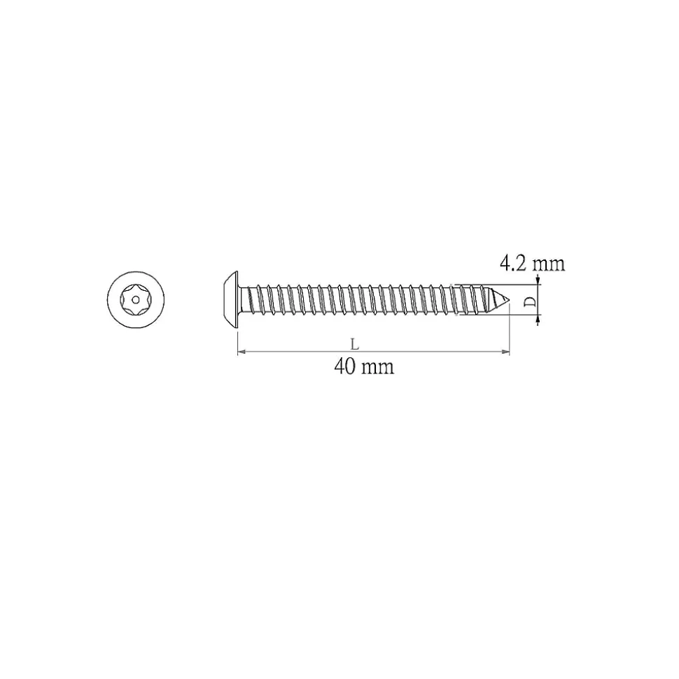 Vis de sécurité en acier inoxydable A2, 4,2x40 mm - 25 pièces