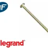 Vis longue, longueur 40mm Legrand Mosaic lot de 100
