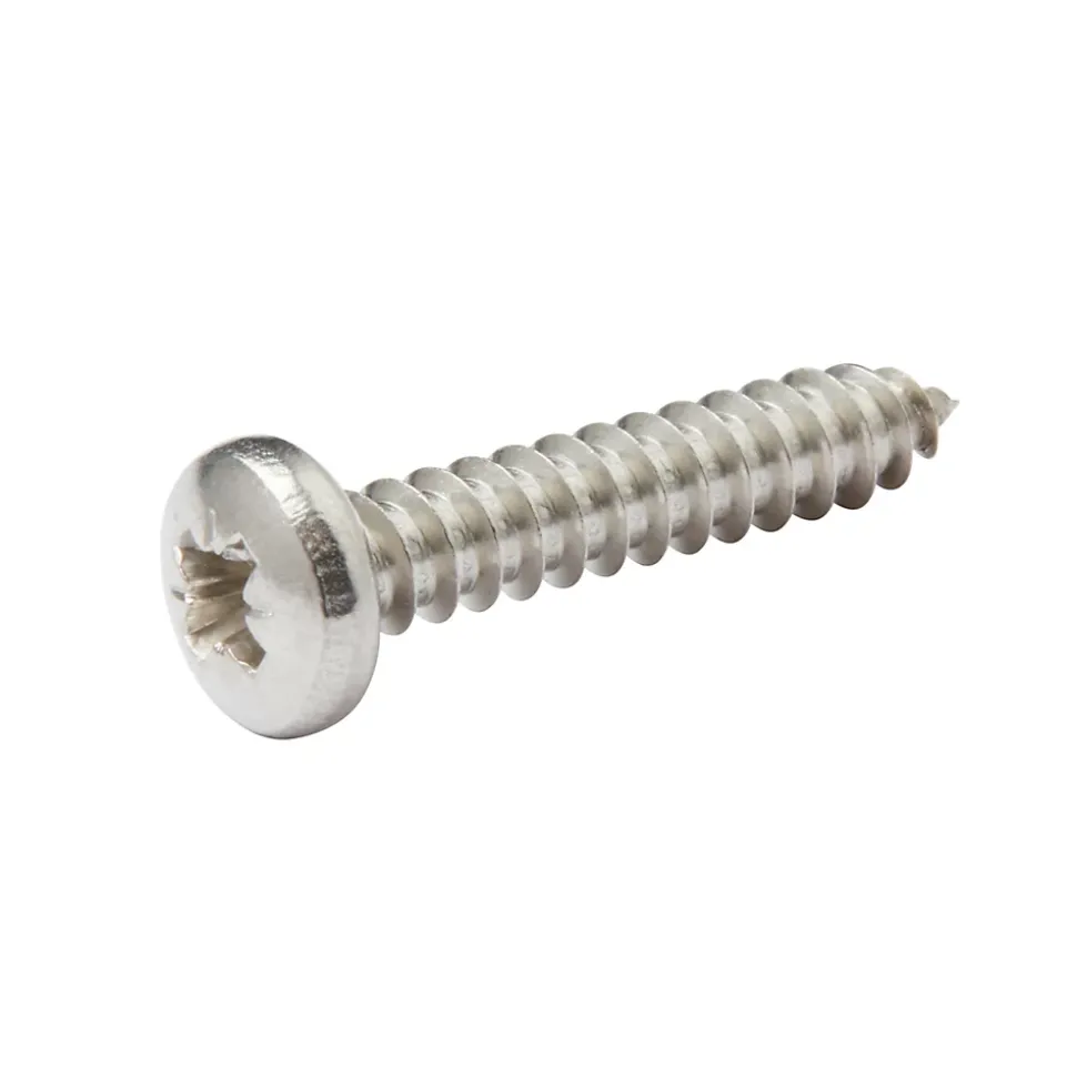 Vis zinguée autoperceuses à tête cylindrique acier inoxydable A2, 4,8x25 mm - 25 pièces
